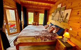 Chalet Chevreuil et Spa